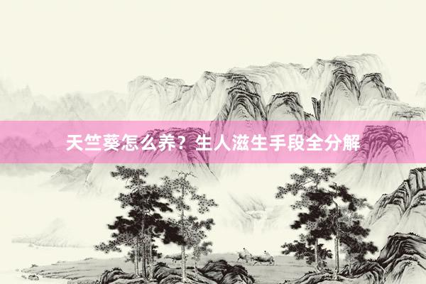 天竺葵怎么养？生人滋生手段全分解